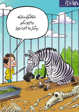 ببینید: گورخرهای آفریقایی در حال فرار از باغ‌وحش!