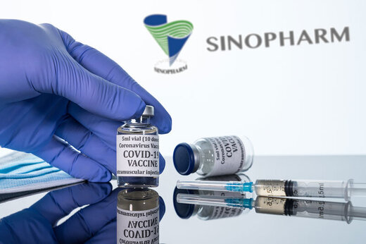 واکسن سینوفارم بهتر است یا برکت؟