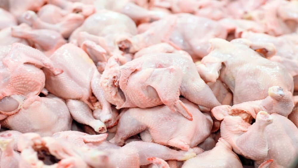 اختلاف قیمت مرغ از تولید تا مصرف چقدر است؟
