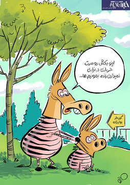 ببینید: تلاش گورخر جدید برای زنده‌ماندن در باغ وحش!