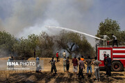 تصاویر | آتش سوزی مجدد در جنگل‌های کرخه شوش