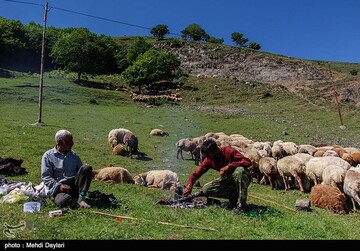 آغاز کوچ عشایر قره داغ