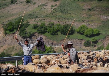 آغاز کوچ عشایر قره داغ