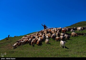 آغاز کوچ عشایر قره داغ