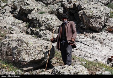 آغاز کوچ عشایر قره داغ