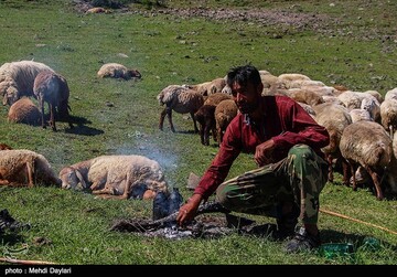 آغاز کوچ عشایر قره داغ