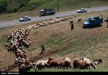 آغاز کوچ عشایر قره داغ