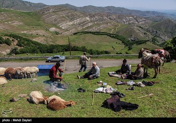 آغاز کوچ عشایر قره داغ