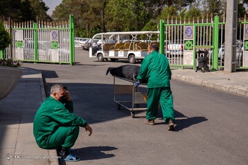 روایت مرگ
