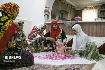 آیین ملی و مذهبی گل غلتان