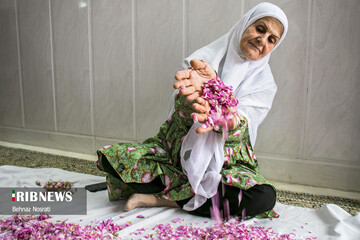 آیین ملی و مذهبی گل غلتان