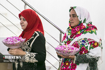 آیین ملی و مذهبی گل غلتان
