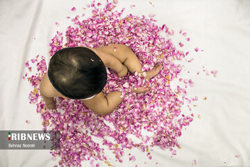 آیین ملی و مذهبی گل غلتان