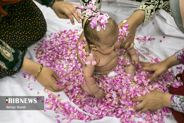 آیین ملی و مذهبی گل غلتان