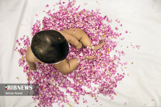 آیین ملی و مذهبی گل غلتان