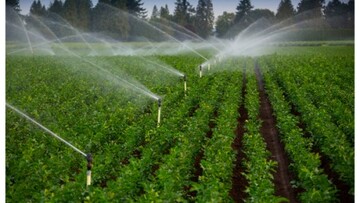 روند اجرای طرح‌های نوین آبیاری در قزوین تسریع شود