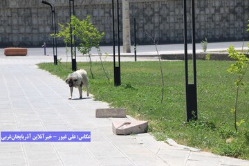 پارکی که افتتاح نشده در حال تخریب است