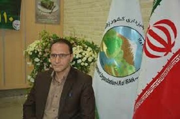 ۱۰ هکتار از اراضی کم بازده مهدیشهرعلوفه کاری شد