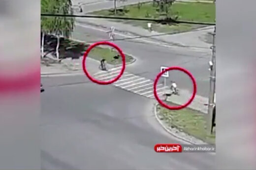 ببینید | لحظه عجیب و غریب‌ شاخ‌به‌شاخ شدن دو دوچرخه