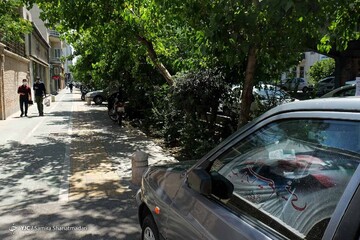 بازار کم رونق تبلیغات انتخابات ریاست جمهوری