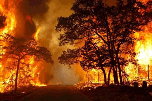 آتش‌سوزی گسترده در مناطق تحت حفاظت سازمان محیط زیست