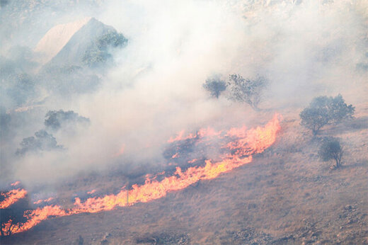ببینید | مهار آتش در کوه «حاتم»؛ ردپای قاچاقچیان ذغال در آتش‌سوزی‌های زاگرس