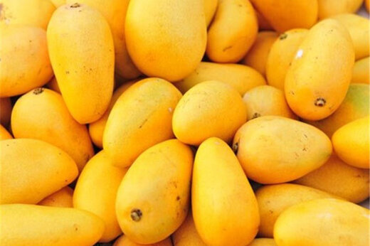 ببینید | واژگونی کامیون بار «انبه» در سیستان و بلوچستان