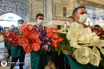 گل آرایی ضریح منور رضوی به مناسبت دهه کرامت