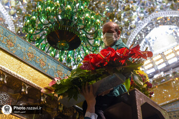 گل آرایی ضریح منور رضوی به مناسبت دهه کرامت