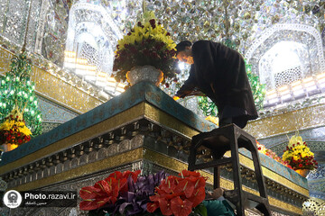 گل آرایی ضریح منور رضوی به مناسبت دهه کرامت