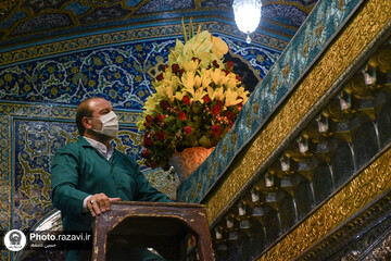 گل آرایی ضریح منور رضوی به مناسبت دهه کرامت