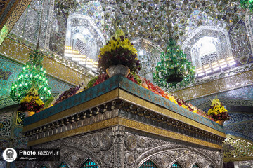 گل آرایی ضریح منور رضوی به مناسبت دهه کرامت