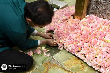 گل آرایی ضریح منور رضوی به مناسبت دهه کرامت