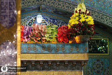 گل آرایی ضریح منور رضوی به مناسبت دهه کرامت