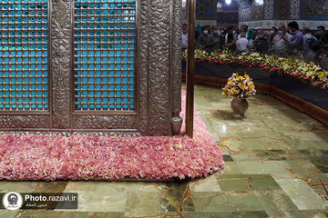 گل آرایی ضریح منور رضوی به مناسبت دهه کرامت