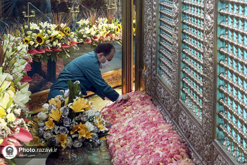 گل آرایی ضریح منور رضوی به مناسبت دهه کرامت