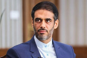 ببینید | انتقاد «سعید محمد» از عملکرد شورای نگهبان