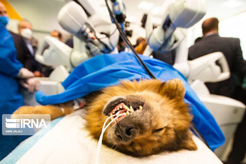 تصاویر | نخستین جراحی رباتیک از راه دور در ایران