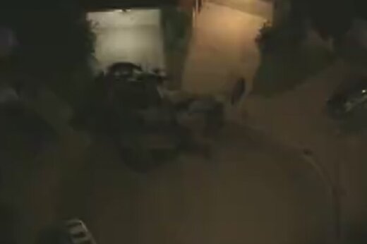 ببینید | فرار گاوها از کشتارگاهی در اطراف لس آنجلس 