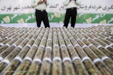 مرحله دوازدهم طرح ظفر