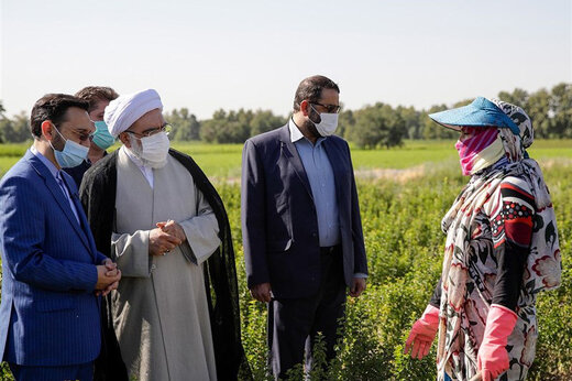 ببینید | واکنش تولیت آستان قدس به تأخیر ۳ ماهه در پرداخت حقوق کارگران