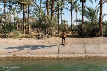 فرار از گرمای تابستان بوشهر