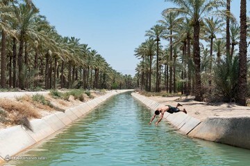 فرار از گرمای تابستان بوشهر