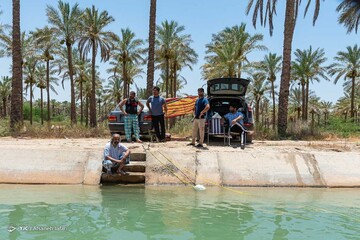 فرار از گرمای تابستان بوشهر