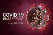 ببینید | اولین نشانه‌های گونه «دلتا» ویروس کرونا چیست؟