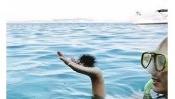 خطا‌های دیدی که شما را شگفت زده می‌کنند!