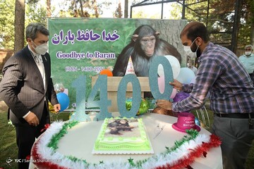 خداحافظ باران