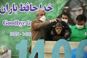 خداحافظ باران