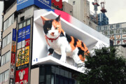 ببینید | گربه غول‌پیکر روی بیلبورد سه‌بعدی در توکیو
