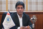یک کارشناس: باید از مشارکت خارجی در صنعت خودرو صرف نظر کنیم